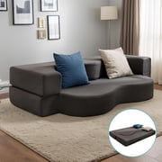 Puremind Queen Foldable Futon Sofa Bed, 2-in-1 Sleeper Sofa, Floor Couch Bed for Small Spaces/Living Room/Guest Room, No Assembly Required, Dark Gray