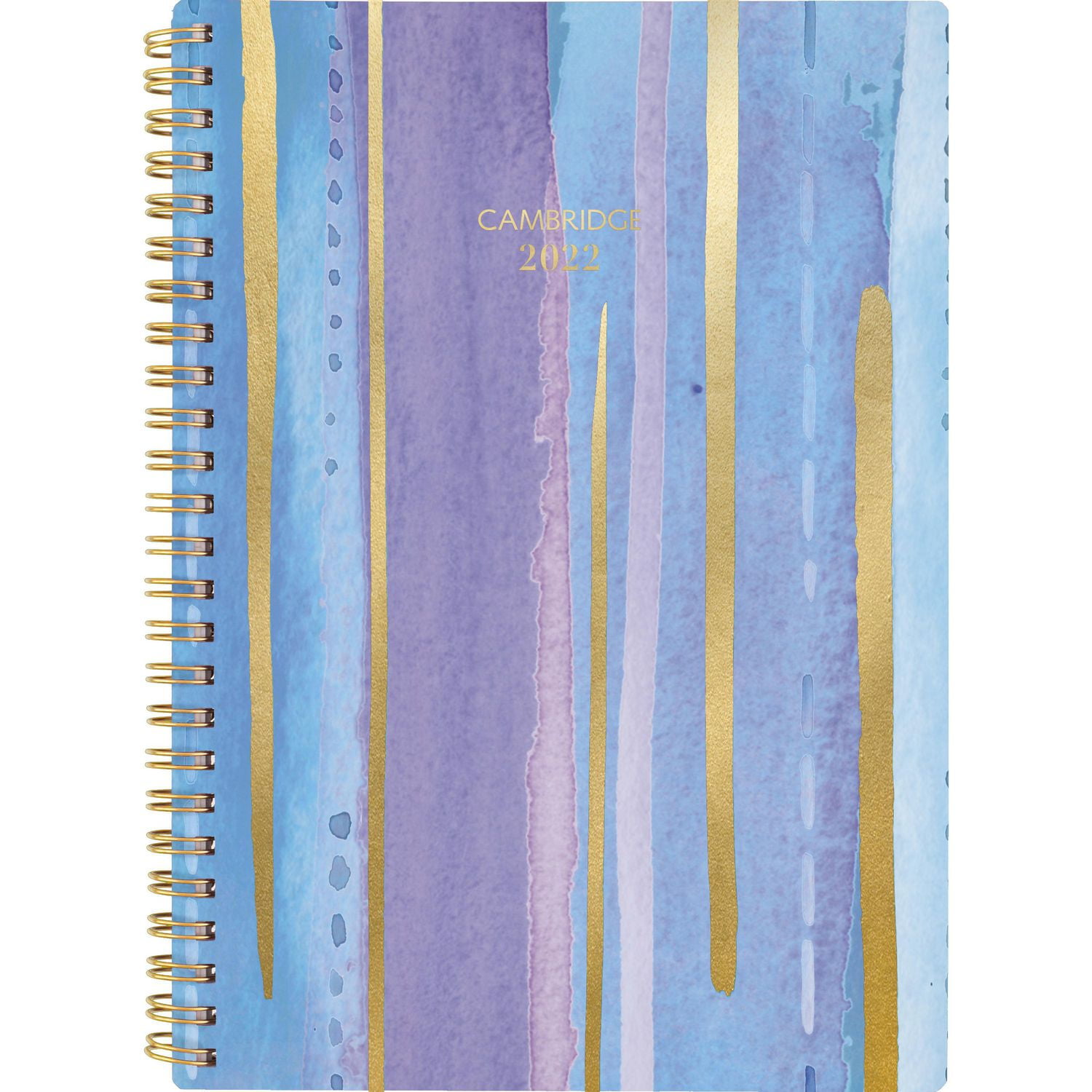 Cambridge Agenda moyen bande bleu, 18 mois