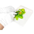 thumbnail image 3 of Dissect It - Labo de dissection de grenouille, 3 of 5