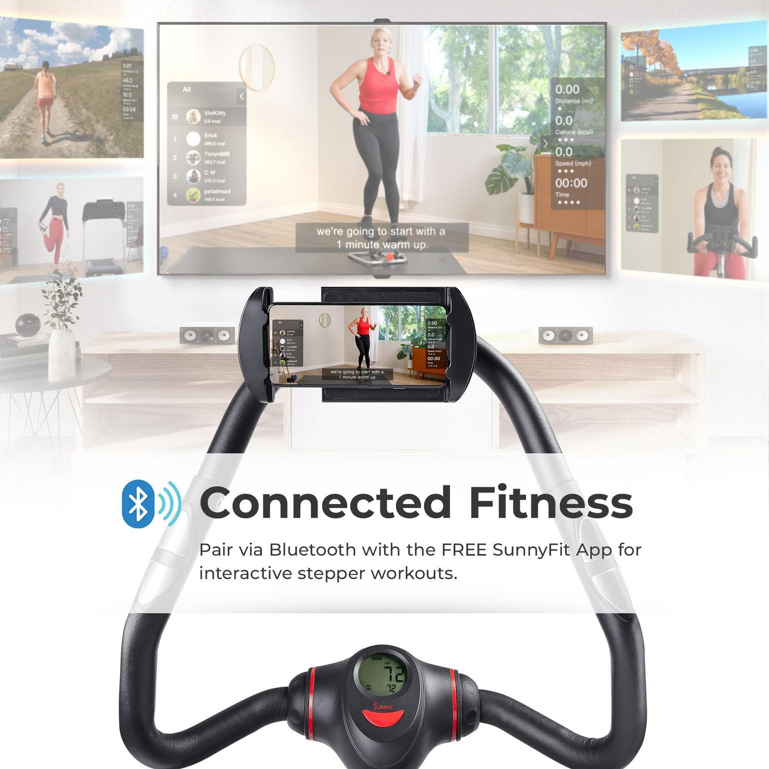 Sunny Health & Fitness Mini Escaladeur Stepper avec Barres - SF-S021055