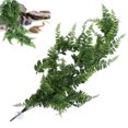 thumbnail image 1 of Gupbes Artificial Hanging Plants Resin Simulation Vines Ferns For Fish Tank And Reptiles Box Decoration,Landscaping Decorative Plants,Artificial Hanging Plants, 1 of 8