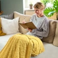 thumbnail image 3 of CEHVOM 70*100cm Super Soft Warm Solid Warm Micro Plush Fleece Blanket Throw Rug Sofa Bedding Clearance, 3 of 4