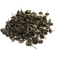thumbnail image 1 of MesaSe 100 Pcs Clous d'Ameublement Antiquités Antiquités pour Meubles Assortiment de Pointes Décoratives, 1 of 10