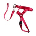 thumbnail image 2 of Faithtur Dogs Mouth Rope Gentle Halter Leash Leader Pet Mouth Traction Set Adjustable Head Collar Pet Accessories, 2 of 5