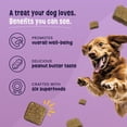 thumbnail image 3 of Gruffies Original Dog Treats, 3 of 7