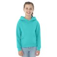 thumbnail image 1 of Jerzees Youth NuBlend Pull Over Hooded Sweatshirt, M, Scuba Blue, 1 of 1
