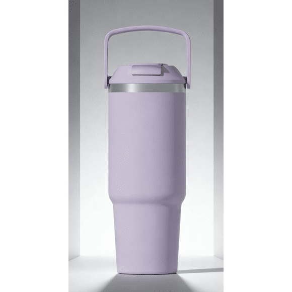 30OZ SS TUMBLER WITH HANDLE-PURPLE
