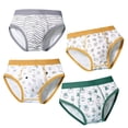 thumbnail image 1 of Birdeem Shorty Garçon et sous-Vêtements Pantalon à Quatre Coins, 1 of 1