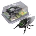 thumbnail image 4 of Fufafayo Jouets d'Insectes Réalistes pour Jeu Éducatif, Collection Interactive d'Insectes, Modèles d'Insectes en Plastique pour l'Apprentissage de la Biologie, Jouets Scientifiques Intérieur Extérieur pour Enfants Décoration de Fête en Classe, 4 of 8