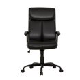 thumbnail image 1 of Sealy Zeus Executive Office Chair – Swivel Base, Tilt Control, Cushioned Arms, Adjustable Height – High-Back Desk Chair for Home or Office, 1 of 6
