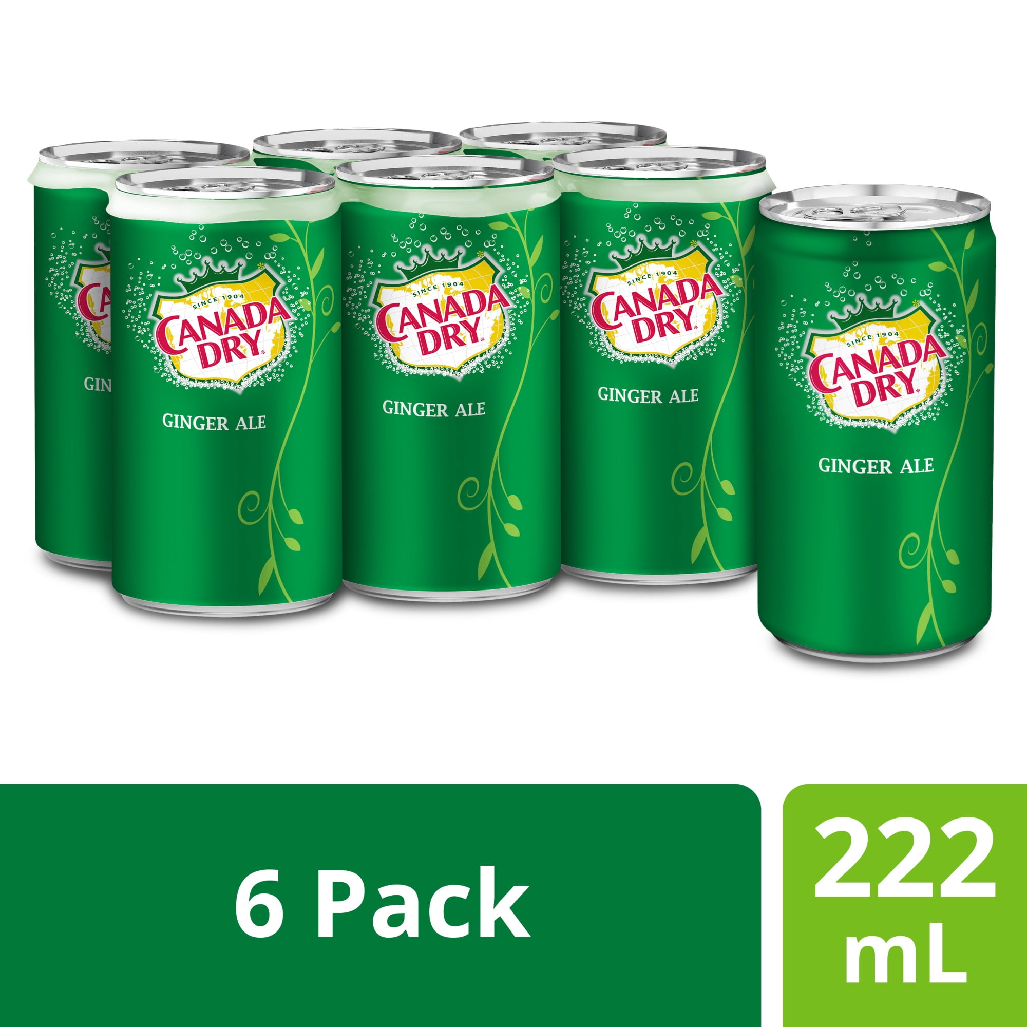 Soda gingembre Canada DryMD - Emballage de 6 mini-canettes de 222 mL