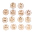 thumbnail image 1 of 14Pcs Wood Discs Premium Natural Wood Glossy Surface Poisonless Antiallergic Wide Application Wood Rounds, 1 of 14