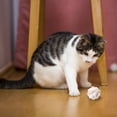 thumbnail image 4 of Funny Cat Toy Stretch Ball Juguetes Cats Creative Colorful Interactive Pussy Toy, 4 of 9