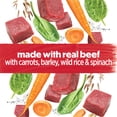 thumbnail image 4 of Beneful Prepared Meals Simmered Beef Flavour, Wet Dog Food 283 g, 4 of 10