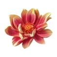 thumbnail image 2 of TopLLC Home Decor Flower Bouquet Magnetic Fridge Stickers Refrigerator Magnets Resin Flower Adhesive Decorations Realistic Flower Magnets Fridge Accessory Kitchen Decoration Magnetic Fridge Stickers, 2 of 7