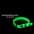 thumbnail image 4 of CAROOTU Adjustable Glowing Pet Collars Luminous Rubber Neck Ring Cat Dog Accessories, 4 of 6