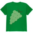 thumbnail image 1 of Halloween Green Grape Costume Youth T Shirt, 1 of 1