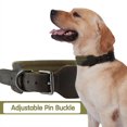 thumbnail image 3 of Dog Collar Heavy Duty Webbing Adjustable Buckle Collars for Medium Large Dogs Army Green, 3 of 8