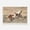 12, variant on Wildlife Wall Art Western Country Rustic Print Buffalo Bull Elk Cowboy Horse Yellowstone Bison Canvas Painting Home Decor50 x 70 cm, unframed,05
