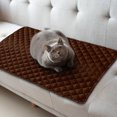 thumbnail image 1 of Sale Today Clearance! Pet Sofa Mat With Pillow And Summer Heat Relief Pet Mat, 1 of 4