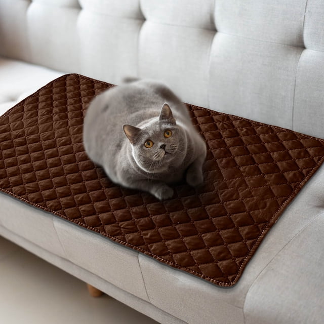 Sale Today Clearance! Pet Sofa Mat With Pillow And Summer Heat Relief Pet Mat