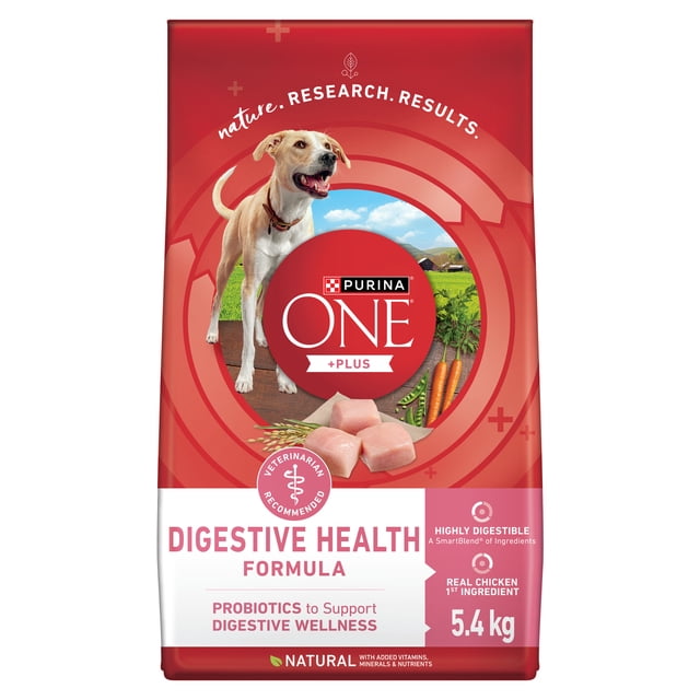 Purina ONE SmartBlend Formule Chiot en Santé à l'Agneau, Nourriture Sèche pour Chien 12kg