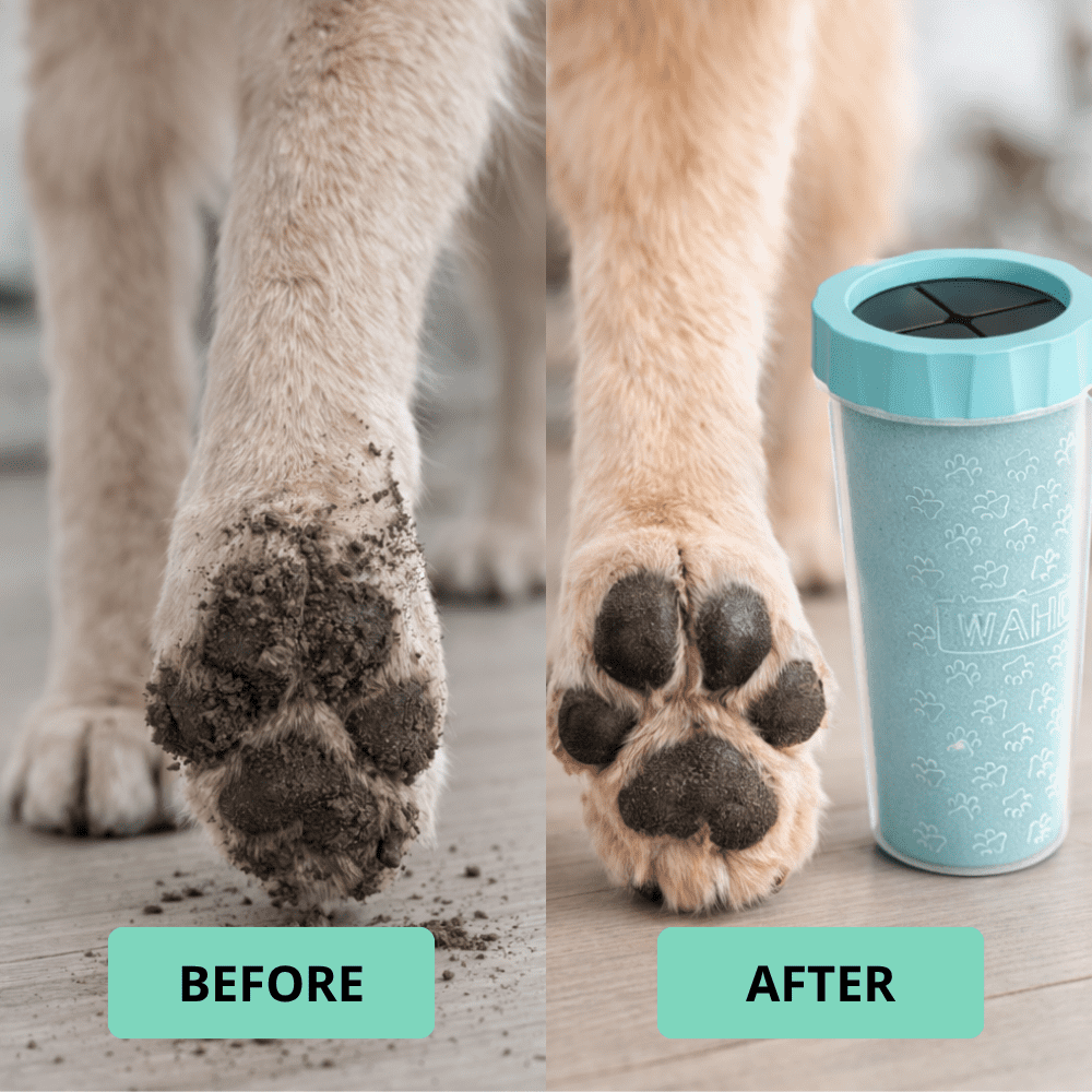 Gobelet nettoyeur de pattes pour chiens – Poils en silicone doux, enlève saleté et boue, outil facile à rincer, nettoyage rapide pour animaux d’extérieur – Modèle 59609