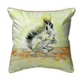 thumbnail image 1 of Betsy Drake HJ059 Coussin Grand 18 x 18 Po Baby Squirrel, 1 of 1