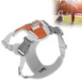 thumbnail image 4 of Dog Harness,No Pull Pet Harness With 2 Leash Clips, Adjustable Breathable Pet Harness With Reflective Trim Step In,Reflective Outdoor Pet Oxford Vest,for Cat Dog Outdoor Walking, 4 of 8