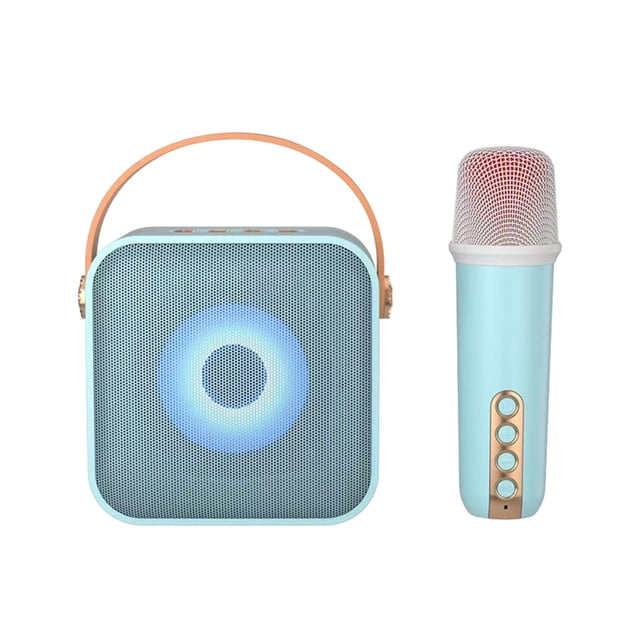 Birdeem Wireless Microphone for Home Audio Karaoke Machine, Bluetooth 5.3 Rechargeable Pa System Stage Subwoofer, Portable Microphone Speaker