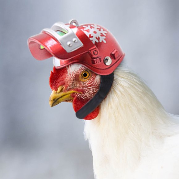 AYktou Christmas Decorations,Christmas Ornaments,Christmas Decor,Christmas Gifts Pet Products Protection Chicken Helmet Hen Hat Bird Hat Head Cover Chicken Craniacea