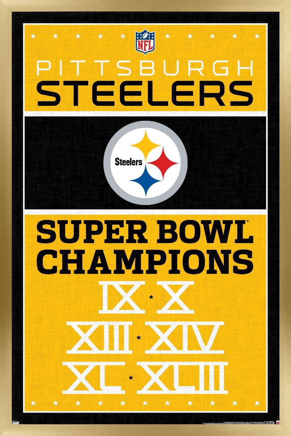 NFL Pittsburgh Steelers - Champions 13