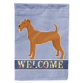 thumbnail image 1 of Carolines Treasures CK3605GF Irish Terrier Welcome Garden Size Flag, 1 of 3