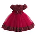 thumbnail image 1 of Robe Formelle pour Filles, Manches Bouffantes, Robe de Bal, Robe en Tulle, Robe de Princesse pour Filles 6-12 Mois, 1 of 6