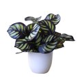 thumbnail image 1 of fastboy Artificial Potted Plant Leaf Simulation Leaves Home Office Desktop Greenery Decoration, Plant Type 2, 1 of 5