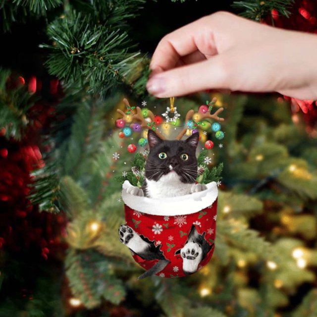 BKER Christmas Acrylic Christmas Stockings For Cats Decorations Christmas Tree Decorations Crafts Hanging Decorations