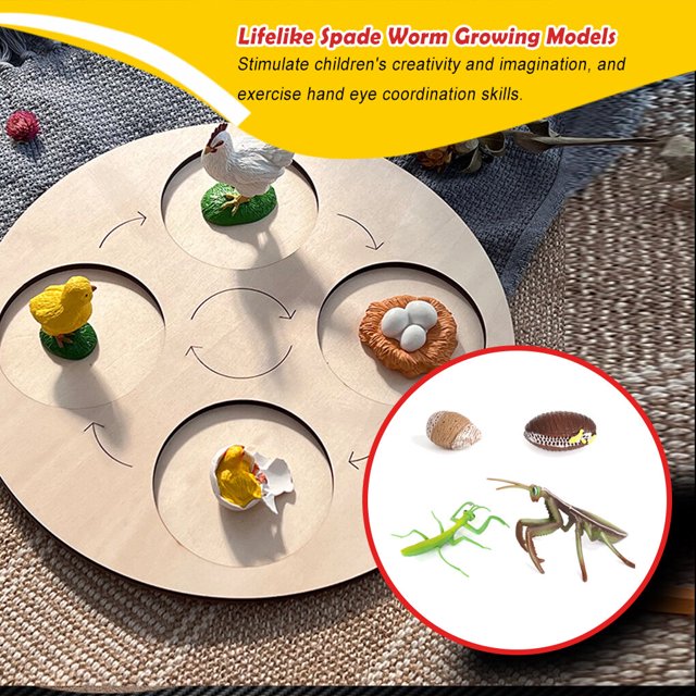 1 Set Spade Worm Model Premium Plastic Material Meaningful Insect Figurines Early Educational Growing Models for School Project mantis