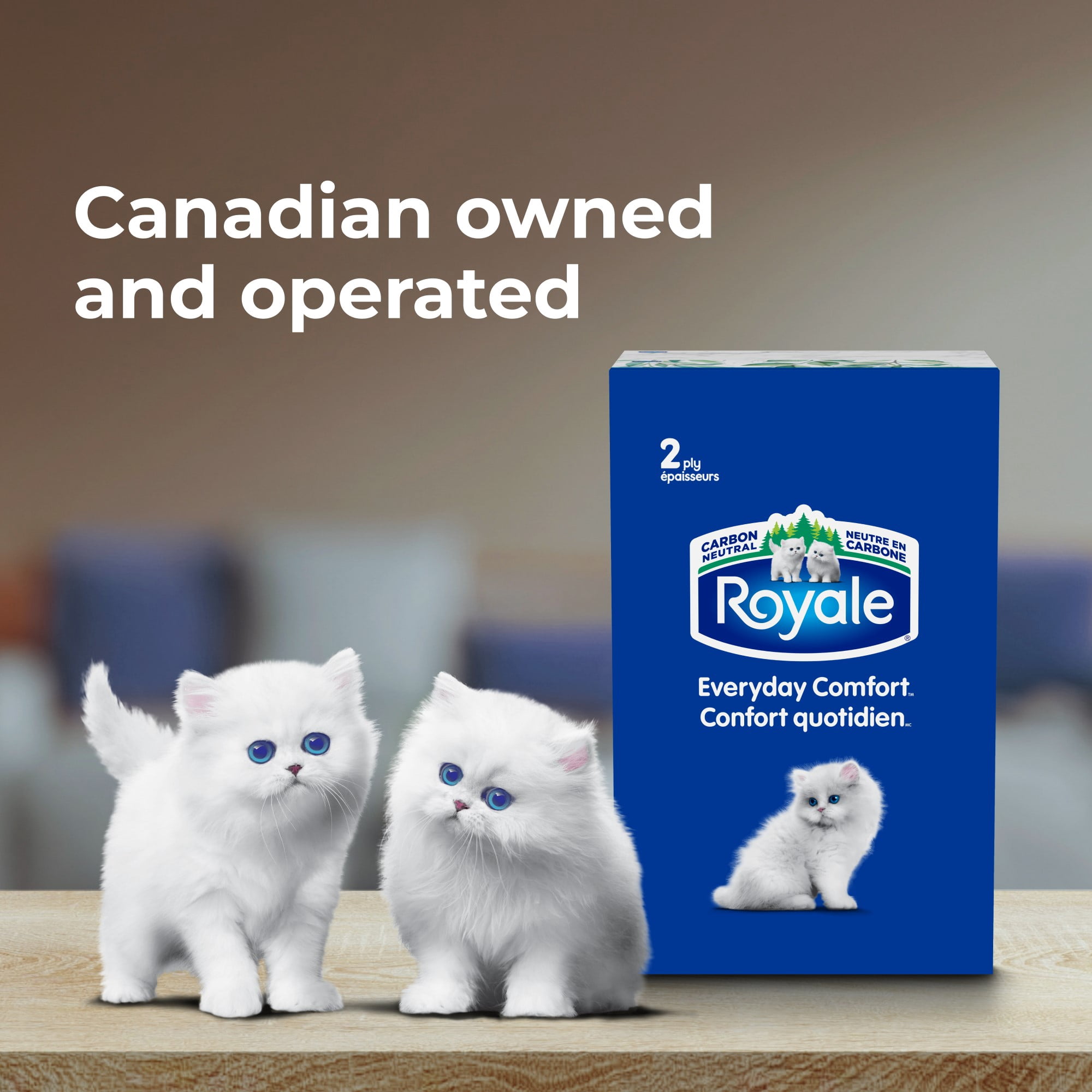 Royale Everyday Comfort, 2 Ply Facial Tissue, 18 Flat Boxes, 126 Tissues per Box