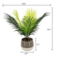 thumbnail image 4 of Lerman Decor's tropical potted plant, 4 of 4