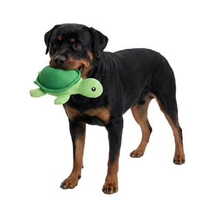 One Paw, Turtle Cooling Dog Toy, Floats In Water, Durable