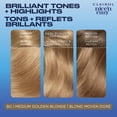 thumbnail image 2 of Clairol Nice'n Easy Permanent Hair Dye, 2 of 9