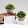 thumbnail image 4 of Artificial Plant Potted Lifelike Round Fake Greenery Plant Faux Plant Decoration, 4 of 10