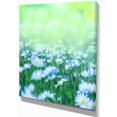 thumbnail image 2 of Fleurs de Camomille sur Fond Vert - Grande Impression sur Toile, 2 of 3