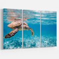 thumbnail image 1 of Design Art Large Hawksbill Sea Turtle Canvas Print, 1 of 3
