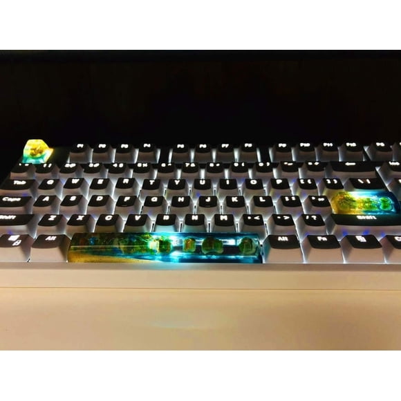 Clavier en Résine Rétroéclairé à Profil SA Fait à la Main 6.25u Keycap 2.25x Enter R1/ESC Translucide, Ensemble de Claviers Hawaii Beach Switch pour Cherry RGB MX, Claviers Mécaniques de Jeu (SA R1 Keycap(1 pcs))