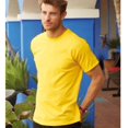 thumbnail image 1 of Fruit Of The Loom Mens Original T-Shirt, 1 of 2