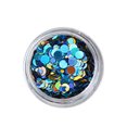thumbnail image 1 of 2g Shiny Round Sequins Fish Scale Sequins Nail Art Decor Manicure DIY Decoration, 1 of 1