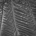 thumbnail image 1 of Ahgly Company Tapis d'Intérieur Lavable à la Machine, Carré, Transitionnel, Charbon Noir, Tapis de Zone, 6 Pieds Carré, 1 of 7
