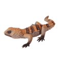 thumbnail image 2 of Figure Soft Reptile Toy Educational Toys Hand Painted Crafts Party Favors D, 2 of 9