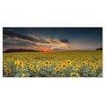 thumbnail image 2 of Sunflower Sunset with Cloudy Sky - Large Landscape Canvas Art, 2 of 3